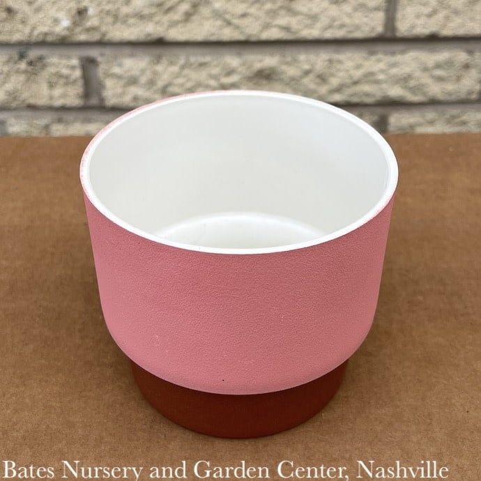 Pot HC 5&quot; Sprite Succulent Pot Blush Lt Wt