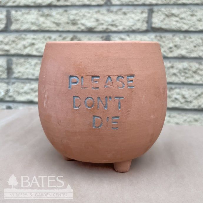 Pot Please Don&#39;t Die Pot 5.5x5.5 Terracotta