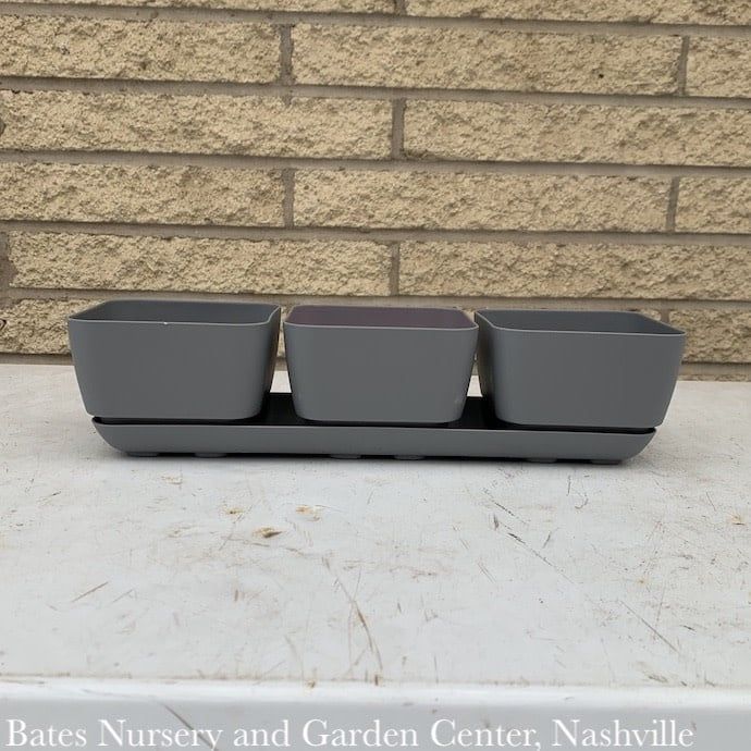 Window Box Herb Trio w/att Tray (3 -4&quot; pots) Grey Lt Wt Novelty