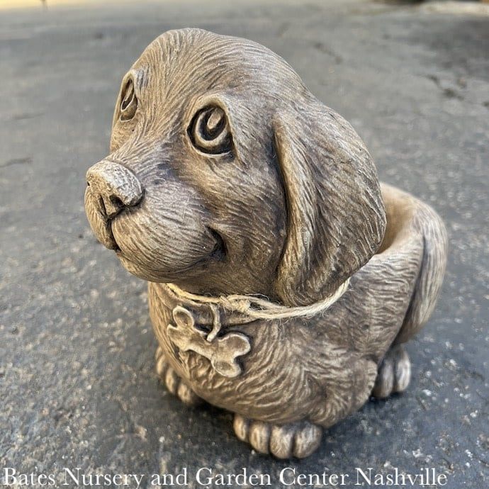 Pot Waffles the Puppy Planter 8x11 Concrete