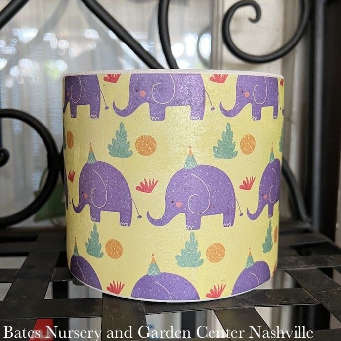 Pot Playtime Cylinder Planter 4.75x4 w/Asst Animal Designs