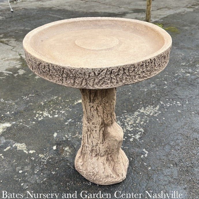 Birdbath Tree Stump 24h x 19w