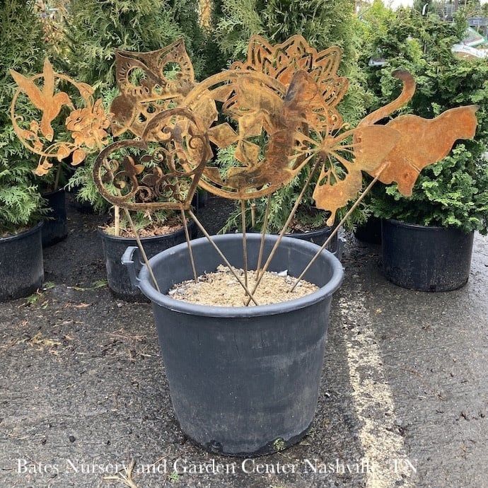 Garden Stake Assorted 30H Metal Locally Made