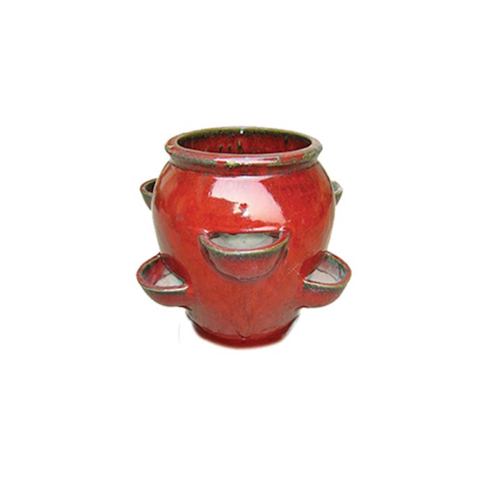 Pot Strawberry Jar 6-Pocket Glazed 14x11.5 Parisian Red