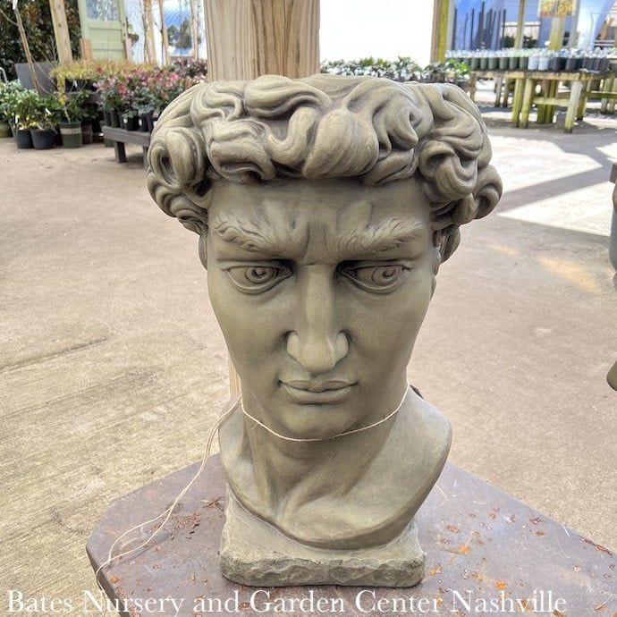 Pot Male Bust - David Planter 27"h Concrete