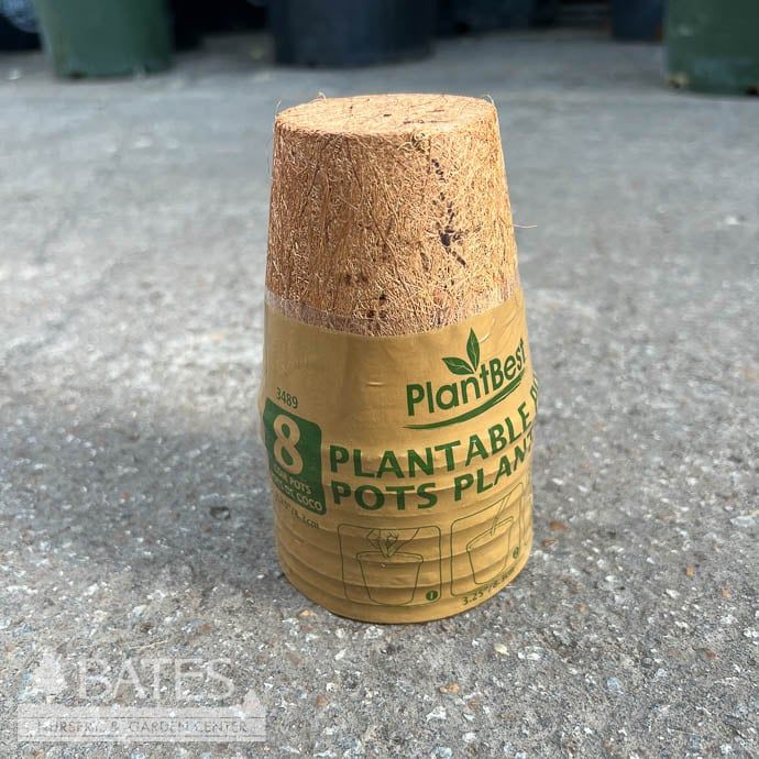 Coconut Coir Pot 3&quot; Biodegradable 8/pk PlantBest