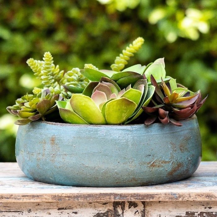 Pot/Low Bowl Nile Lrg 13x4 Rustic Asst