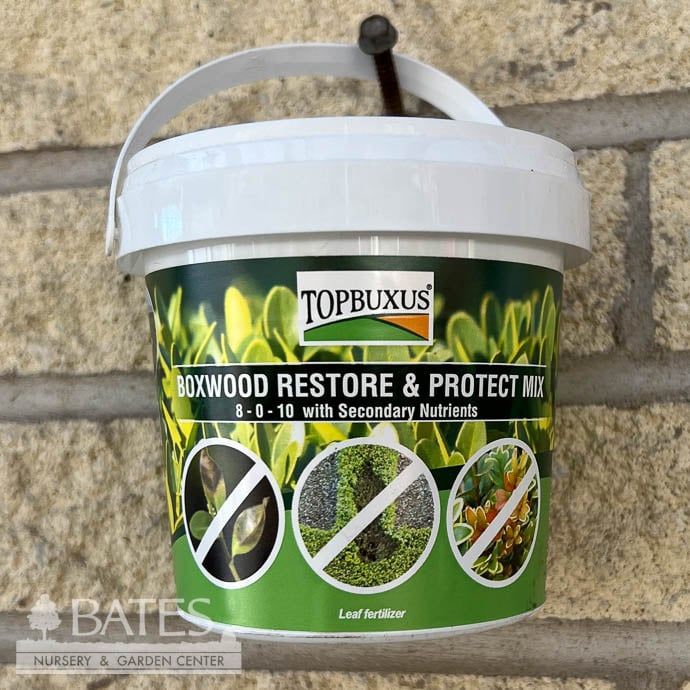 10ct Boxwood Restore/Protect Tabs TOPBUXUS / Top Buxus