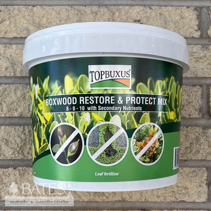 100ct Boxwood Restore/Protect Tabs TOPBUXUS / Top Buxus