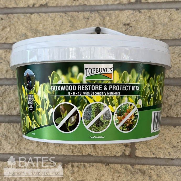 40ct Boxwood Restore/Protect Tabs TOPBUXUS / Top Buxus