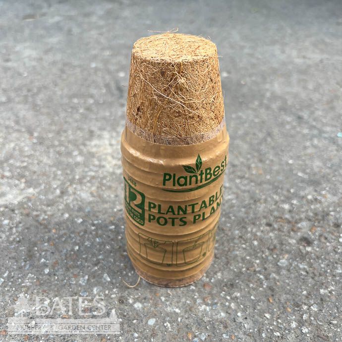 Coconut Coir Pot 2.5&quot; Biodegradable 12/pk PlantBest