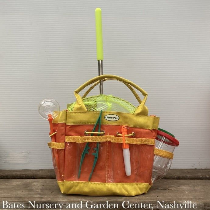 Little Pals Bug Watching Activity Kit