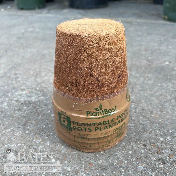 Coconut Coir Pot 4.25" Biodegradable 6/pk PlantBest