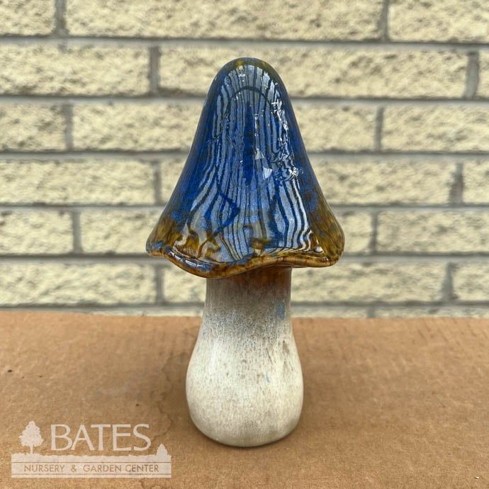 Statuary Mushroom Morel-Look 3wx6h Asst