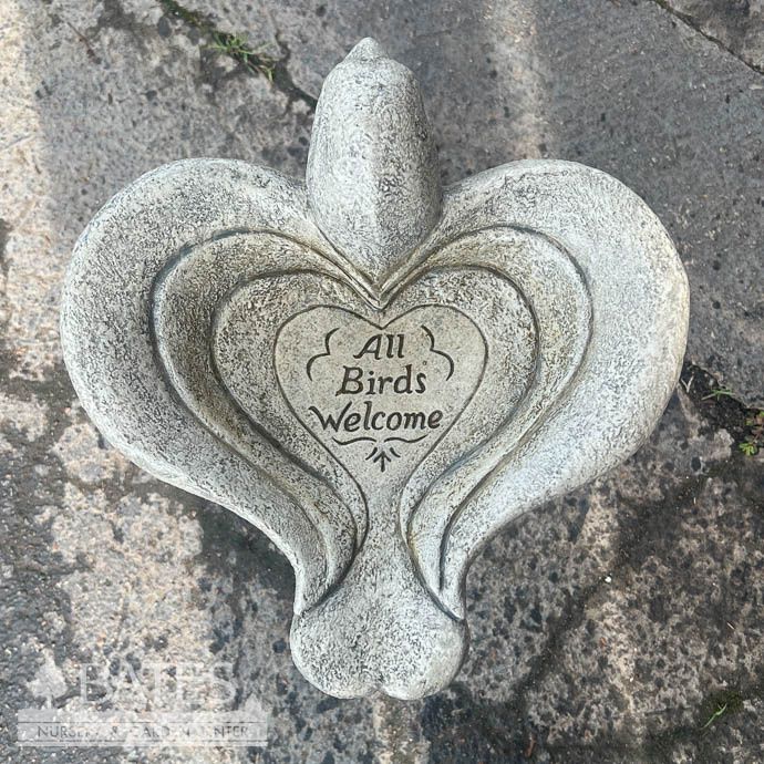 Birdbath Petite All Birds Welcome 15hx12w