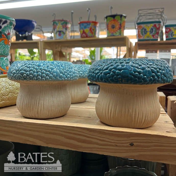 Pot Glazed Mushroom Planter 6.8x5 Assortment