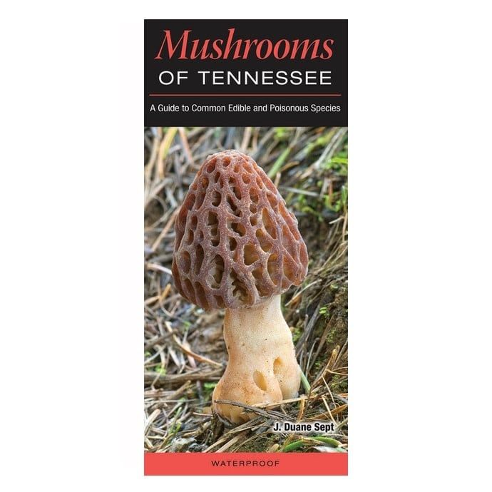 Booklet Mushrooms of Tennessee Quick Reference Guide