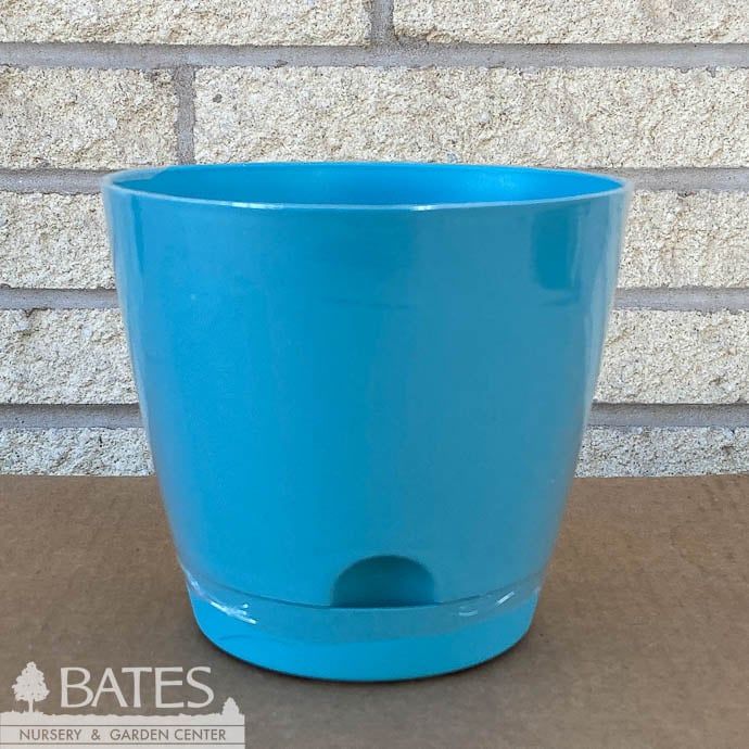 Pot Tilden Self Watering 6&quot; Lt Wt Asst
