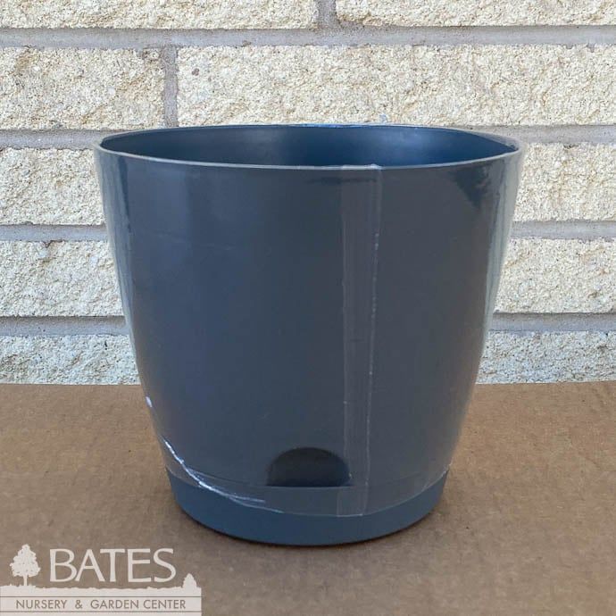 Pot Tilden Self Watering 6&quot; Lt Wt Asst