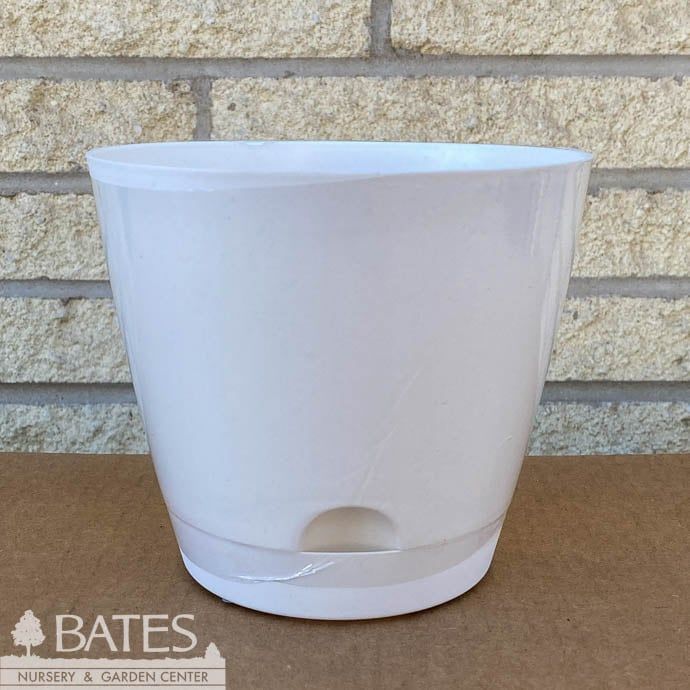 Pot Tilden Self Watering 6&quot; Lt Wt Asst