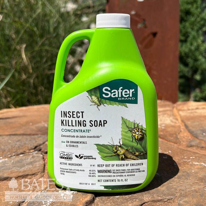 16oz Safer Insecticidal Soap Concentrate