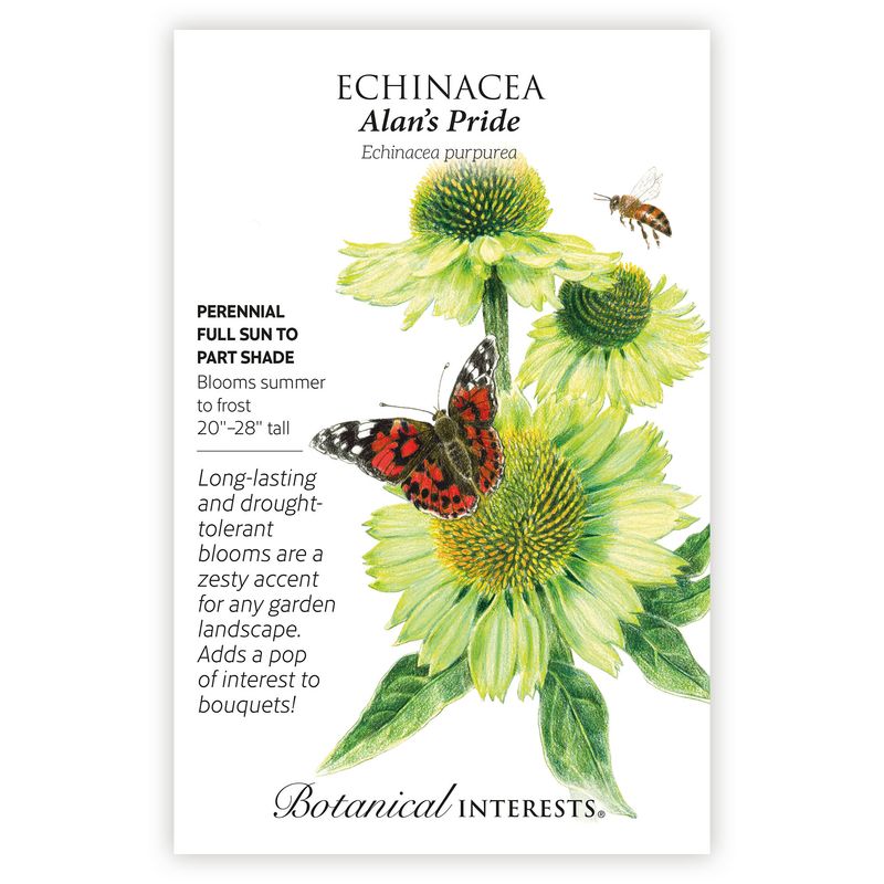 Seed Flwr Echinacea Alan&#39;s Pride - Echinacea purpurea/ Coneflower Native (TN)
