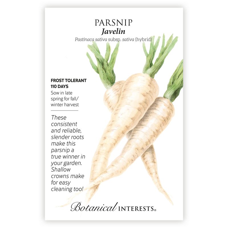 Seed Veg Parsnip Javelin - Pastinaca sativa (hybrid)