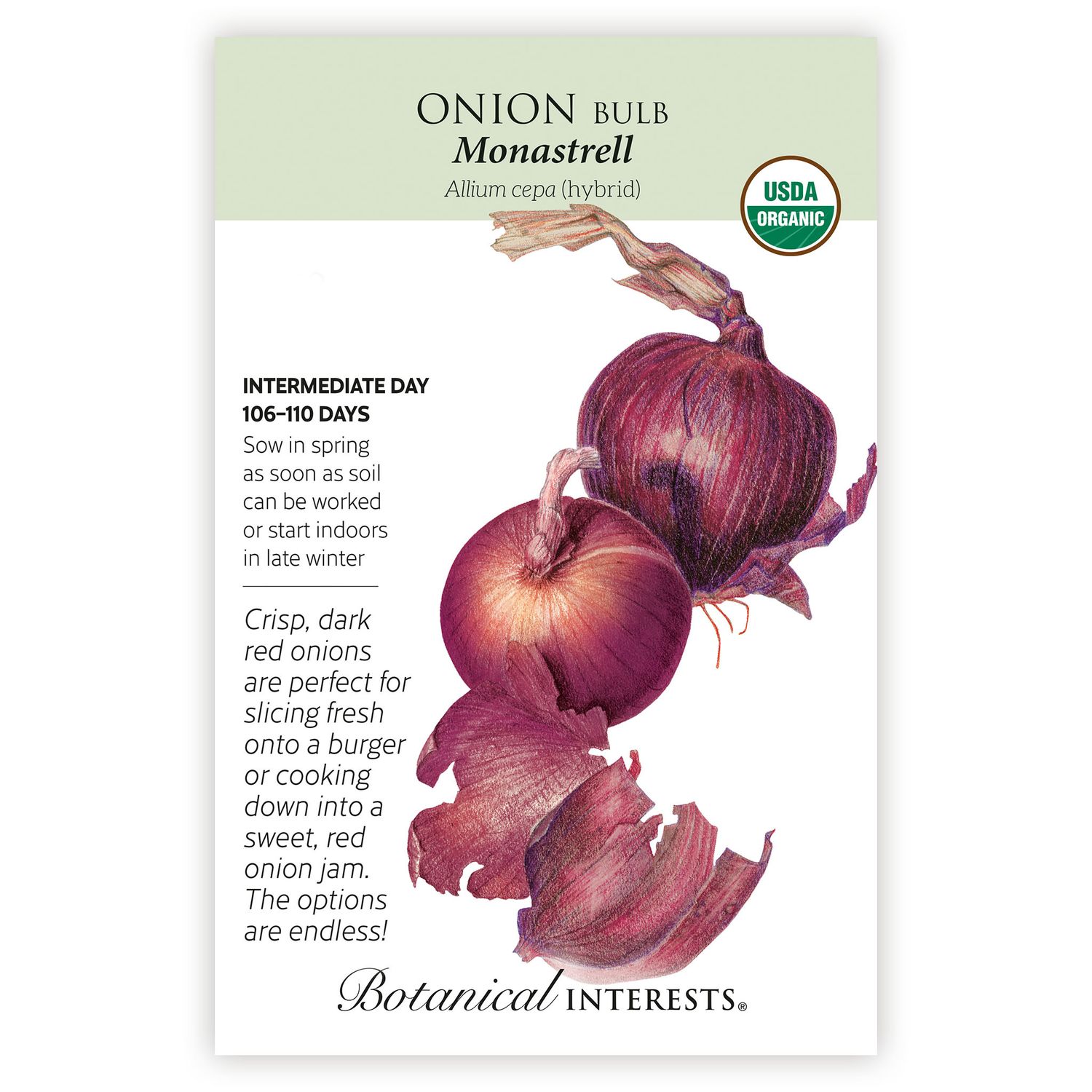 Seed Veg Onion Red Monastrell Organic - Allium cepa (hybrid)