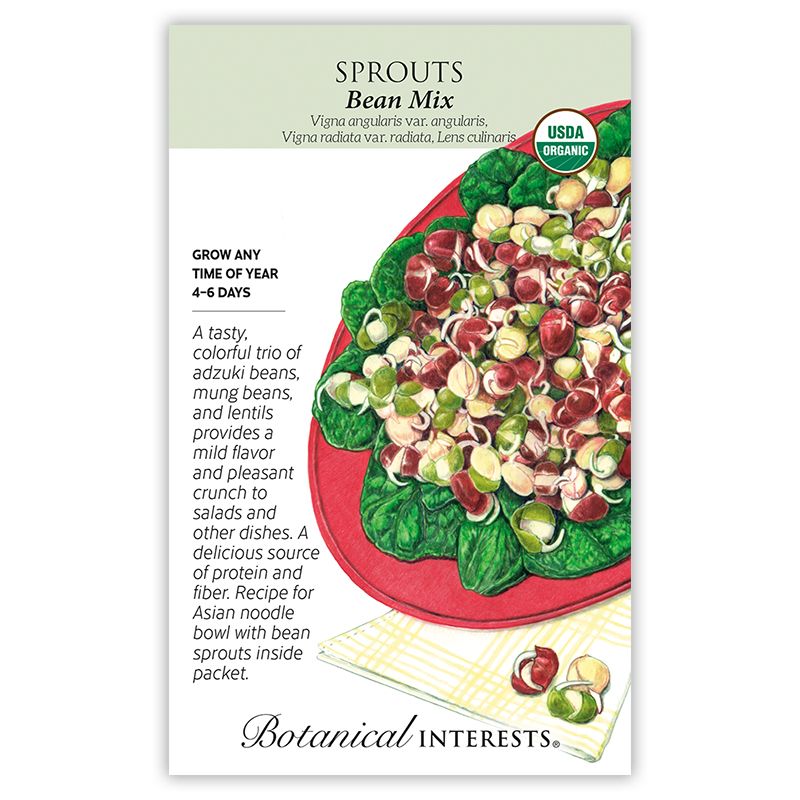 Seed Veg Sprouts Bean Mix Organic - Assorted species - Lrg Pkt