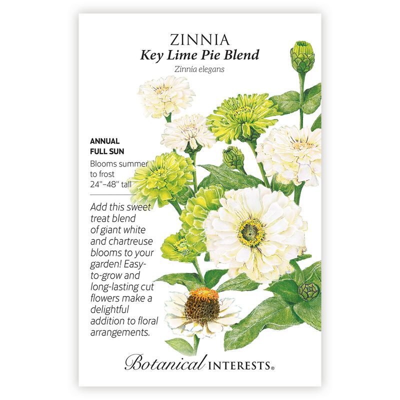 Seed Flwr Zinnia Key Lime Pie Mix - Zinnia elegans