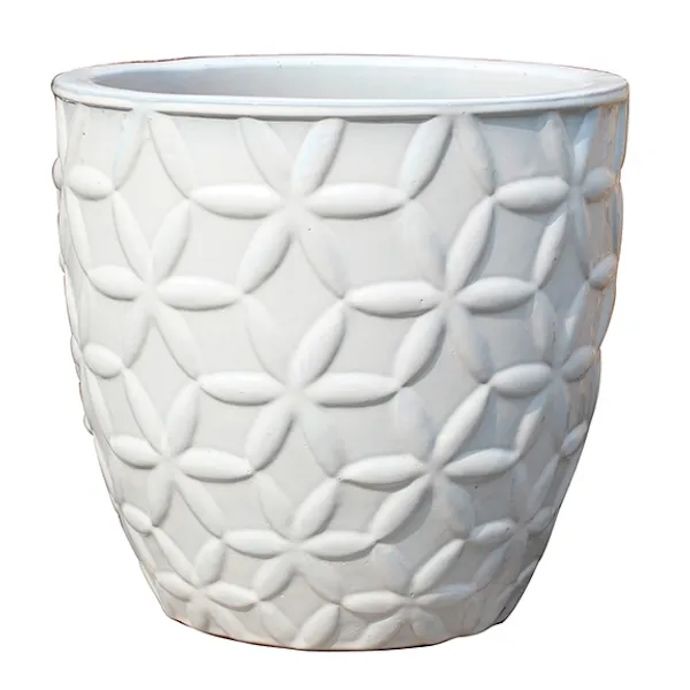 Pot Starflower Egg Lrg 17x16.5 White