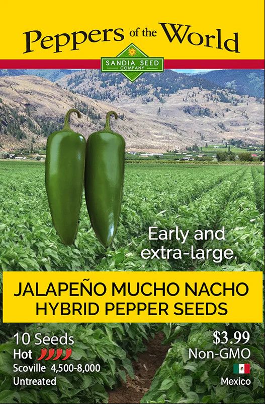 Seed Pepper Jalapeno Mucho Nacho Organic - Capsicum annuum