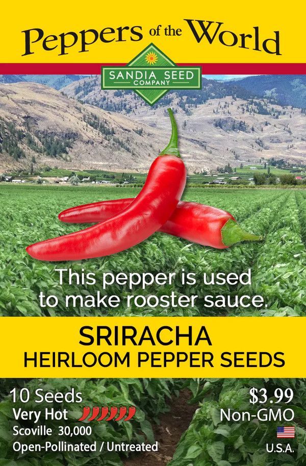 Seed Pepper Sriracha Heirloom - Capsicum annuum