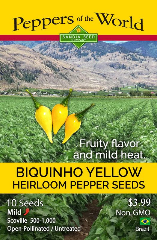 Seed Pepper Biquinho Yellow Hot Heirloom - Capsicum annuum - Sandia