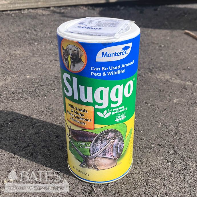 1 Lb Sluggo Snail/Slug Control Organic Insecticide