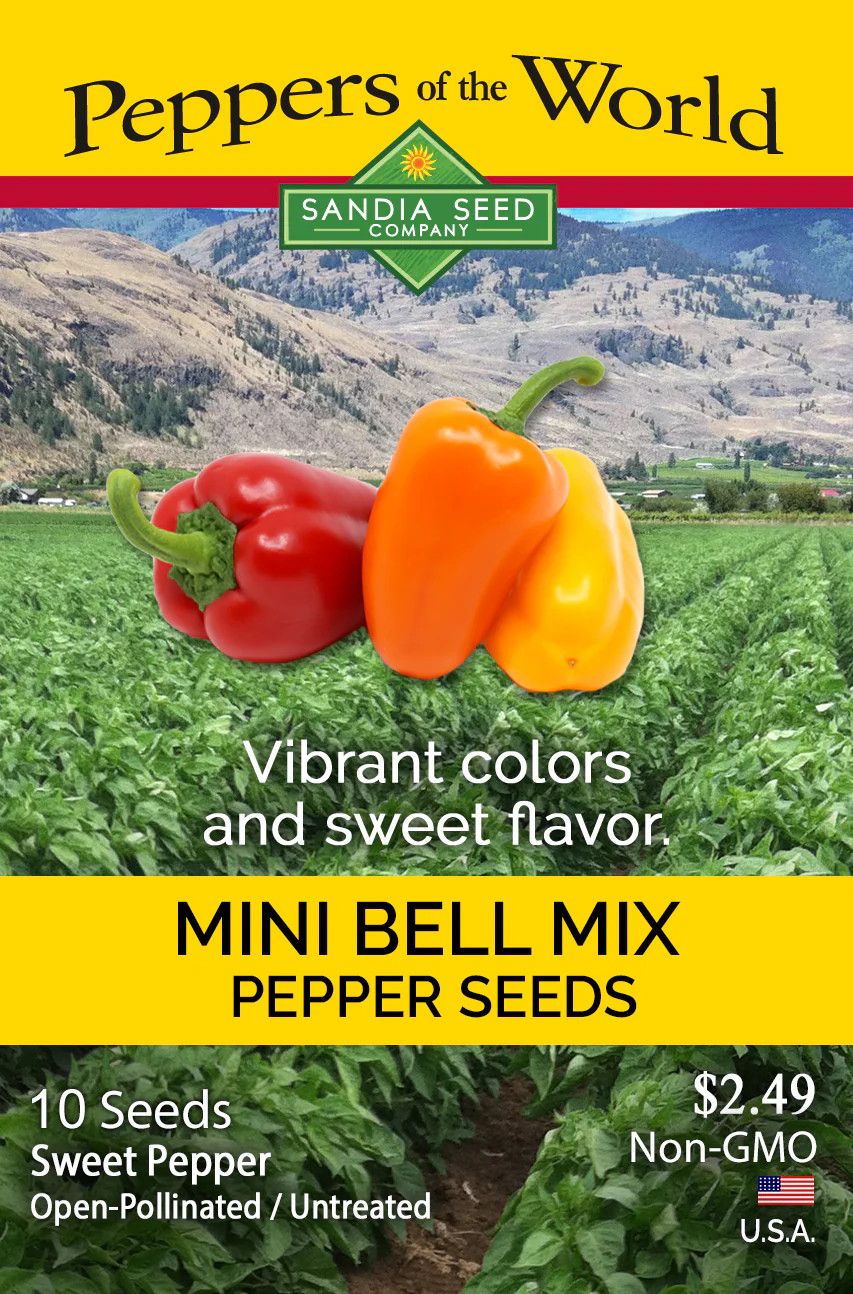 Seed Pepper Bell Mini Mix - Capsicum annuum - Sandia