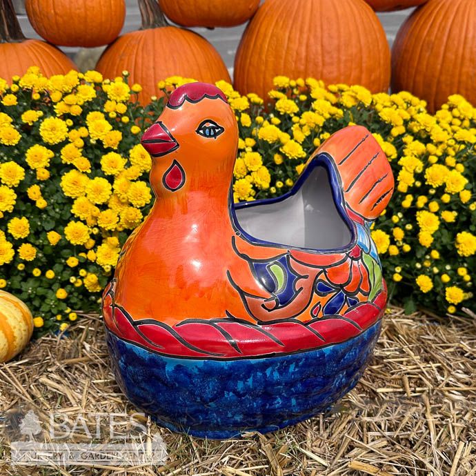Pot Chicken Med 11x10 Talavera