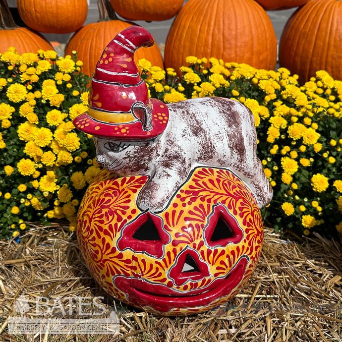Lantern Cat Laying on Pumpkin /Jack O Lantern 13x11 Talavera