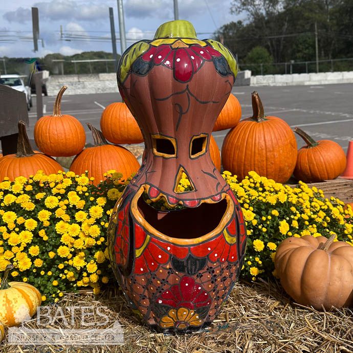 Lantern Gourd Tall Curvy Pumpkin /Jack O Lantern LRG 23x11 Talavera