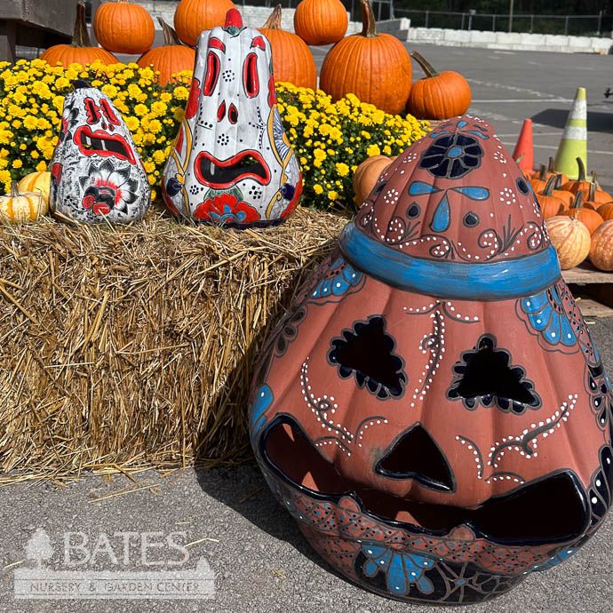 Lantern Gourd Pumpkin /Jack O Lantern XLG 24x19 Talavera