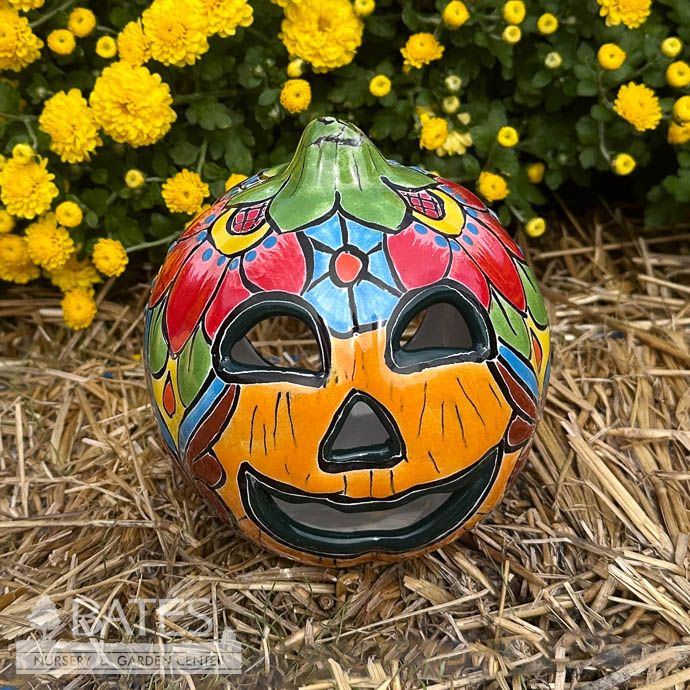 Lantern Pumpkin /Jack O Lantern 2XS 5.5x4.5 Talavera