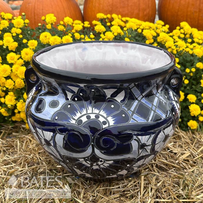 Pot Vase Squat w/2 handles MED 10x13 Talavera