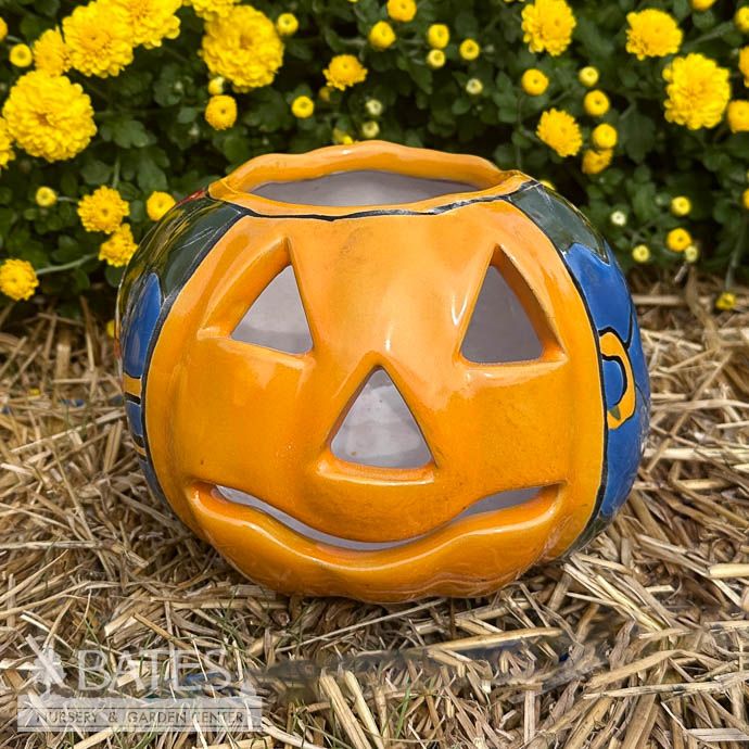 Lantern Pumpkin /Jack O Lantern XSM No Stem 5x6 Talavera