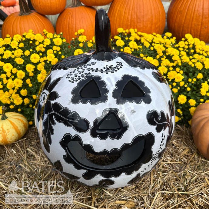 Lantern Pumpkin /Jack O Lantern Long Stem LRG 16x13 Talavera