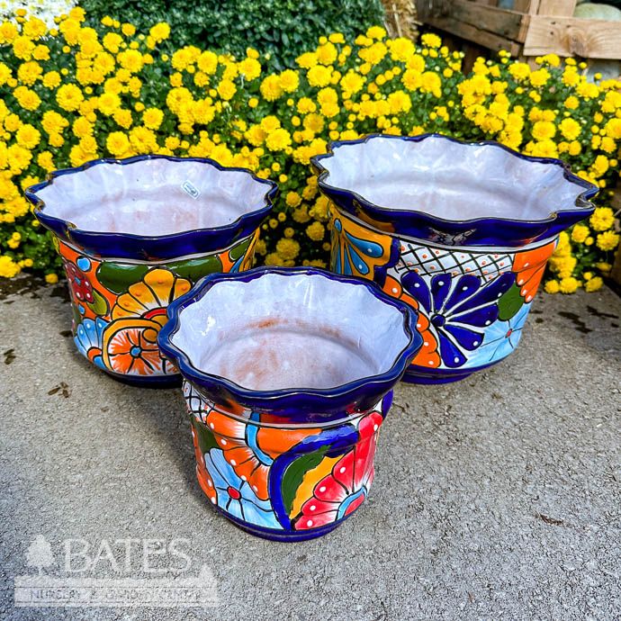 Pot Wavy Rim Lrg 8.5x11 Talavera