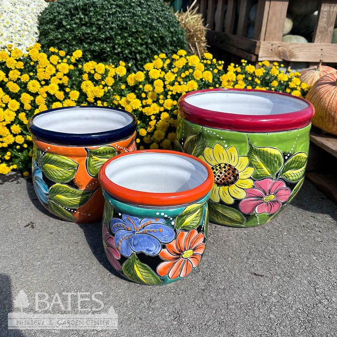 Pot Round Double Riml Med 8.5x8.5 Talavera