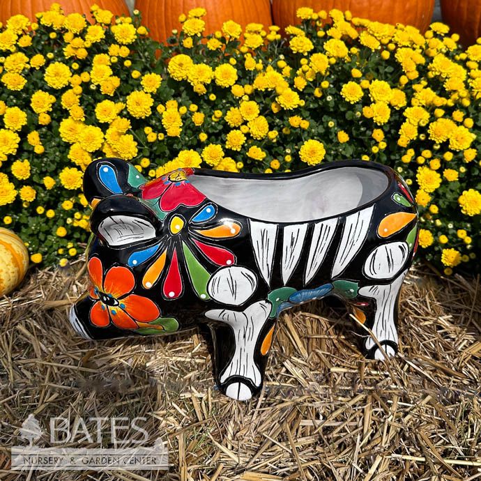 Pot Pig/Fat Pig Standing SML 13x9 Talavera