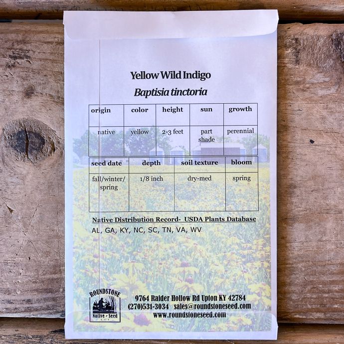 Seed Baptisia tinctoria/ Yellow Wild Indigo - Roundstone Native (TN)