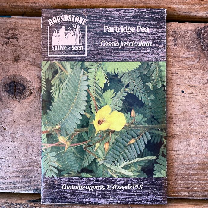 Seed Cassia fasciculata/ Partridge Pea - Roundstone Native (TN)