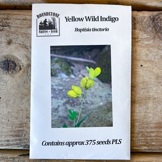 Seed Baptisia tinctoria/ Yellow Wild Indigo - Roundstone Native (TN)